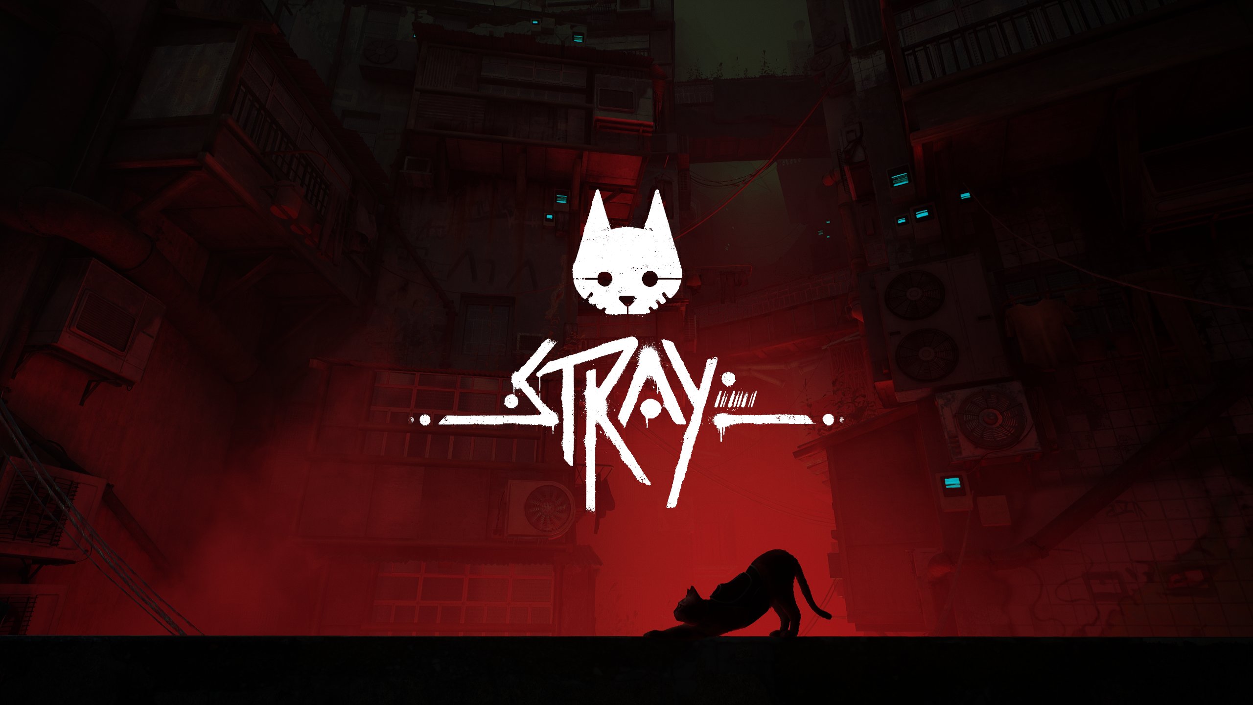 Stray