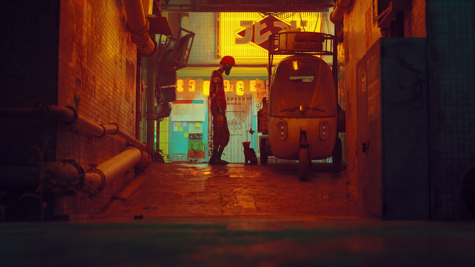 Stray-image-6-1920×1080-1